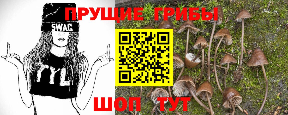 Галлюциногенные грибы мухоморы  Вход с VPN  даркнет сайт  Егорьевск 