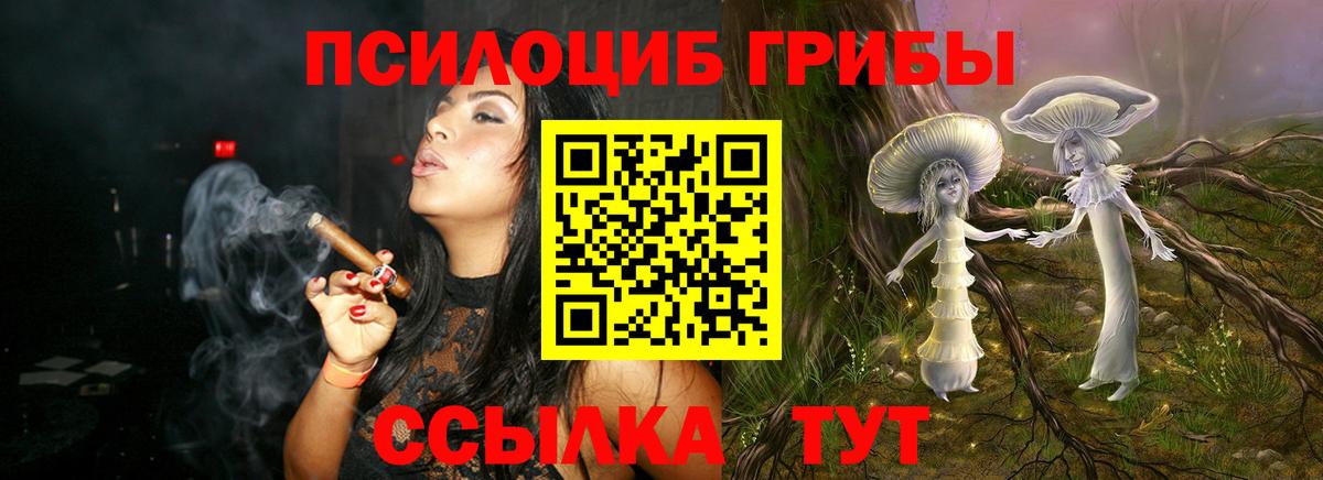 Галлюциногенные грибы мицелий Егорьевск